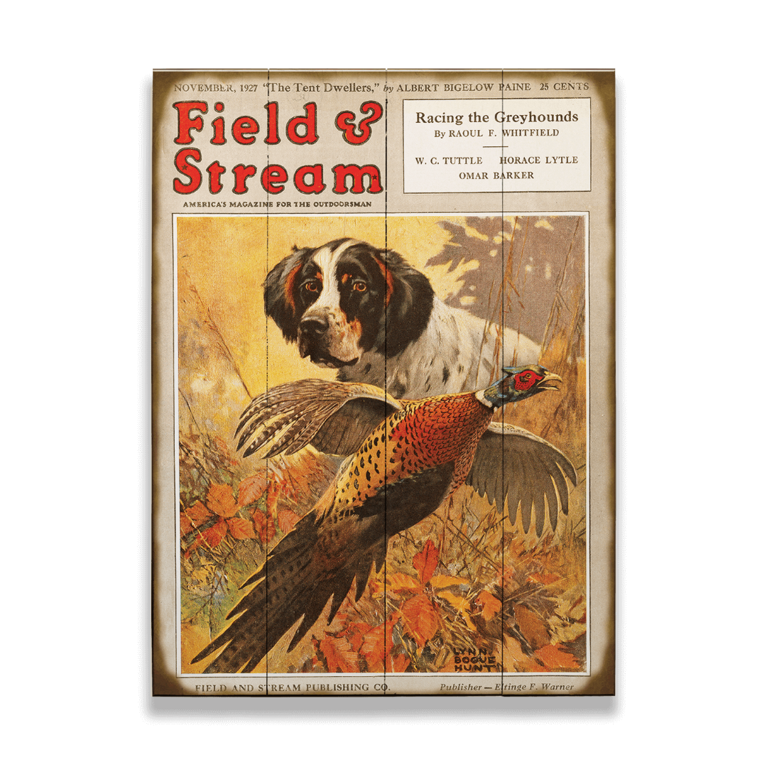 Vintage 'Field & Stream' magazine cover with a dog and pheasant illustration on a black background