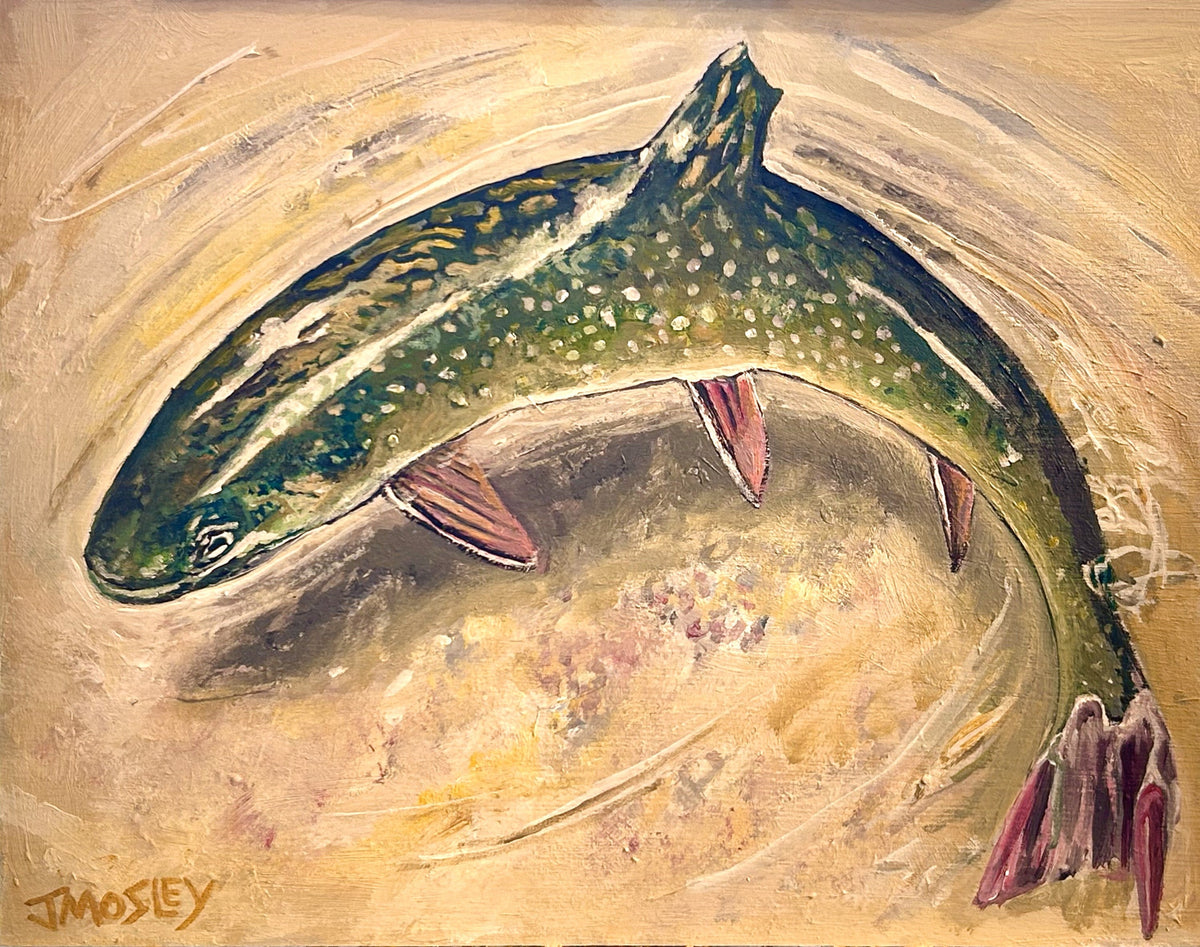 As a gifted artist, Jamison Mosley has captured the essence of the brook trout in his captivating illustrations. Inspired by a recent trip to the pristine mountain waters, his images showcase the prolific and remarkable nature of this event. Among the photographs he captured is a stunning portrayal of a brook trout feeding, meticulously released back into its natural habitat.
