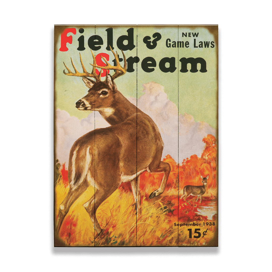 Vintage 'Field & Stream' magazine cover with a deer illustration on a wooden background