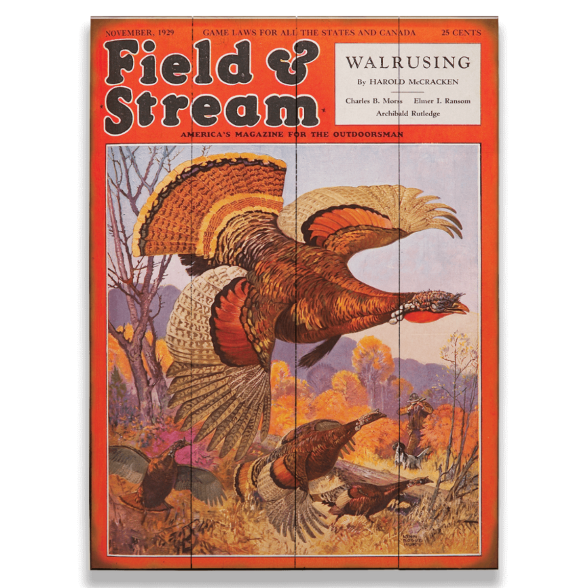 Vintage 'Field & Stream' magazine cover with a turkey illustration on a black background