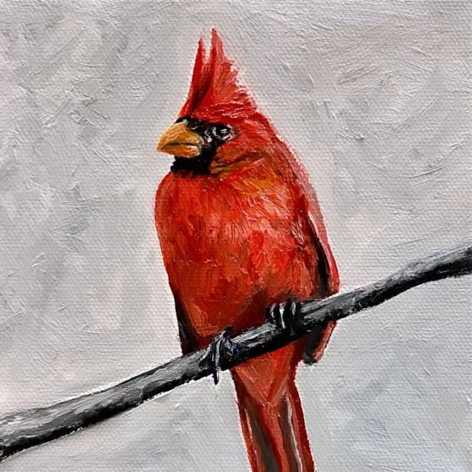 Northern Cardinal - Fish On! Custom Rods