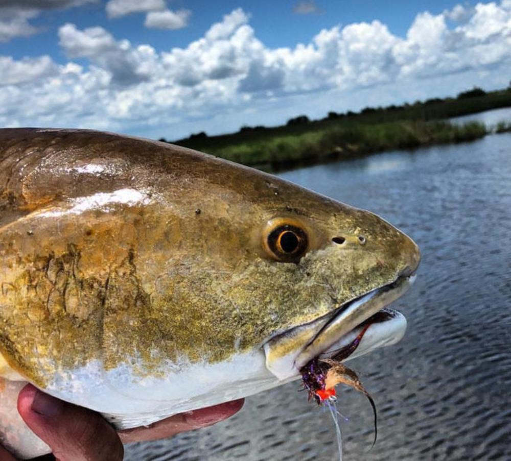Sandbar Crawler - Fish On! Custom Rods